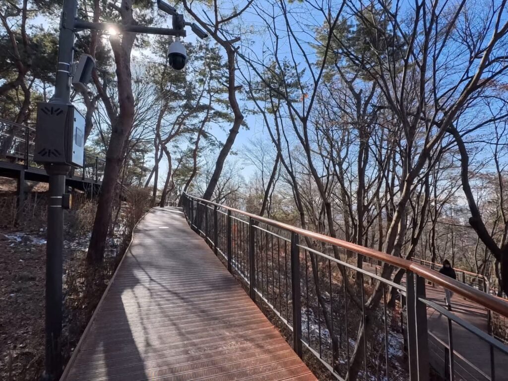 Elevated wooden boardwalk of Namsan Sky Forest Trail in Seoul
