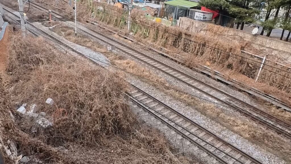 Railroad in Seoul