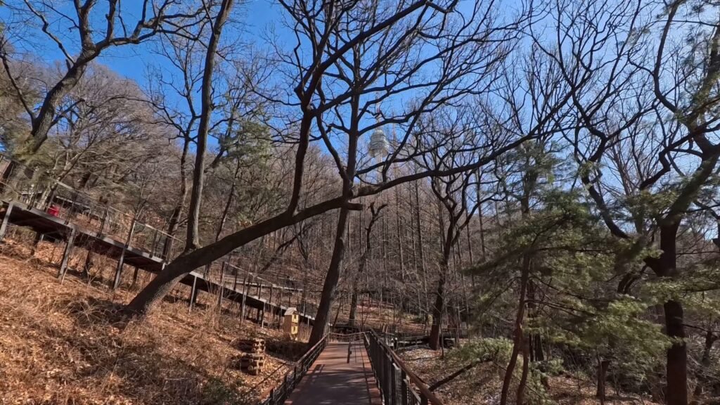 View of N Seoul Tower from the Namsan Sky Forest Trail