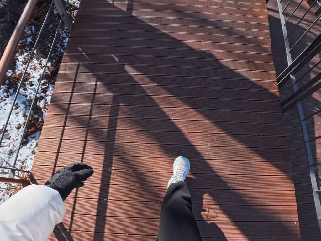 Walking through Namsan Sky Forest Trail