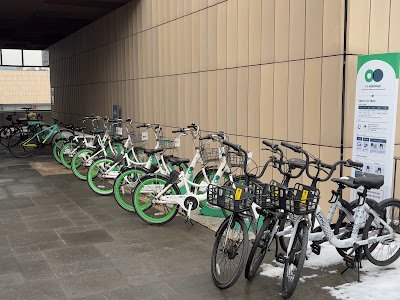 bike-sharing system called Ttareungyi(Seoul Bike)