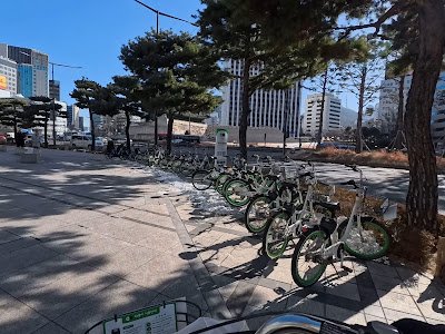 Seoul public bike station