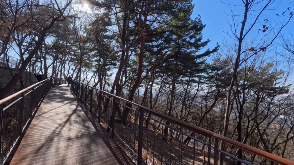 Walking-through-the-sky-forest-trail-to-Namsan-Tower