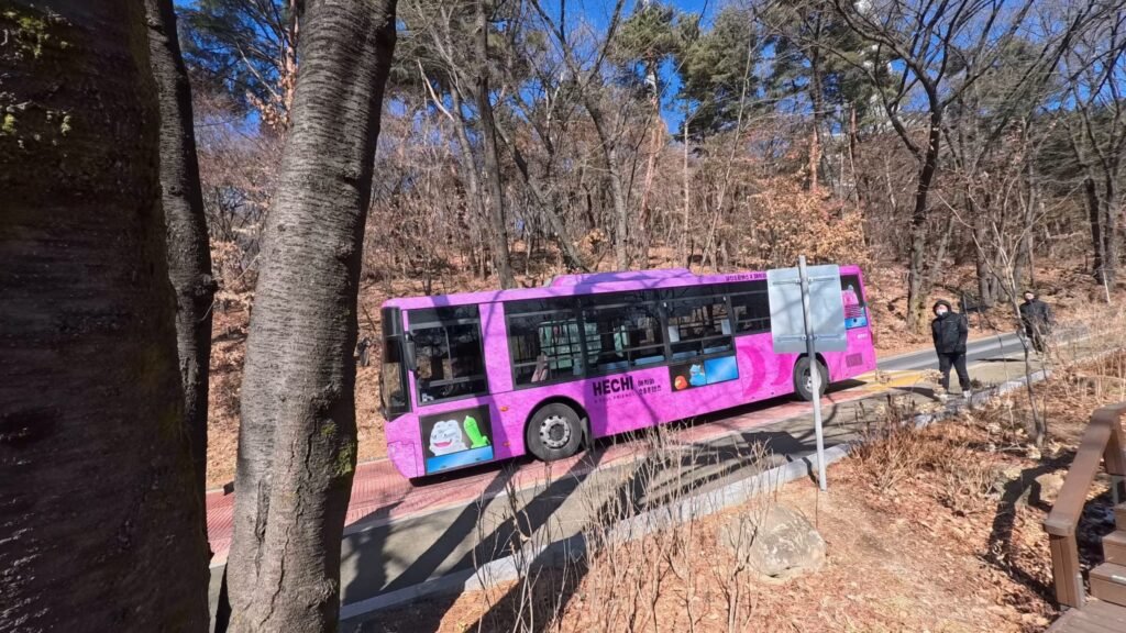 Pink-Namsan-Tour-Bus
