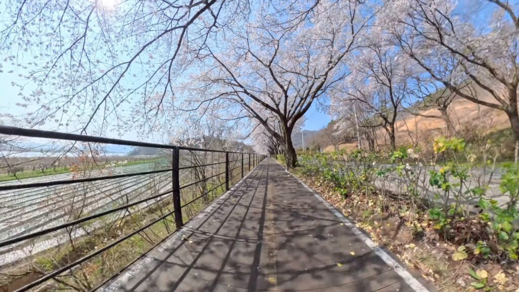 POV cycling on the Nakdong River bike path towards Andong Dam