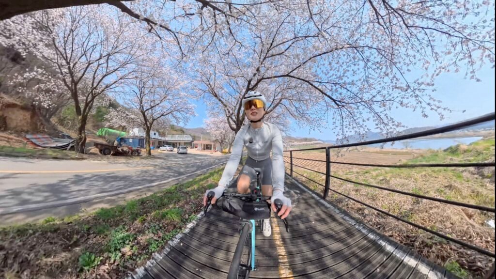 Best Sangju to Andong Dam cycling route with cherry blossoms