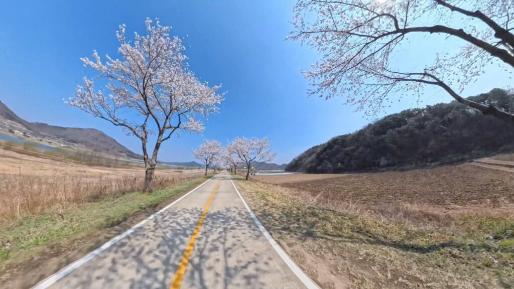 Scenic Nakdong River Bike Path route for cross country cycling in Korea